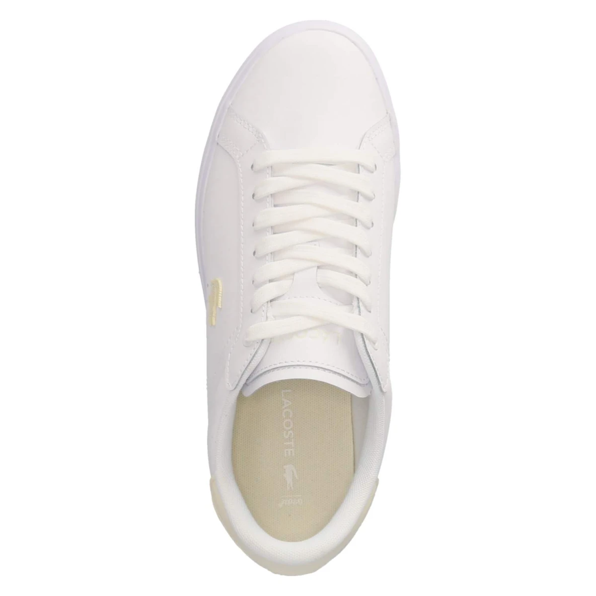 Low Sneaker POWERCOURT - WHT/OFF WHT