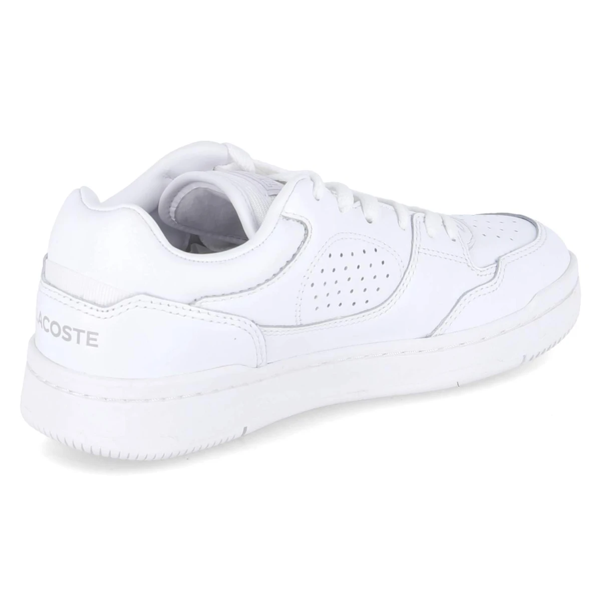 Low Sneaker LINEDRIVE - wht/wht
